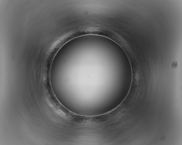 X0000112880732200908281637