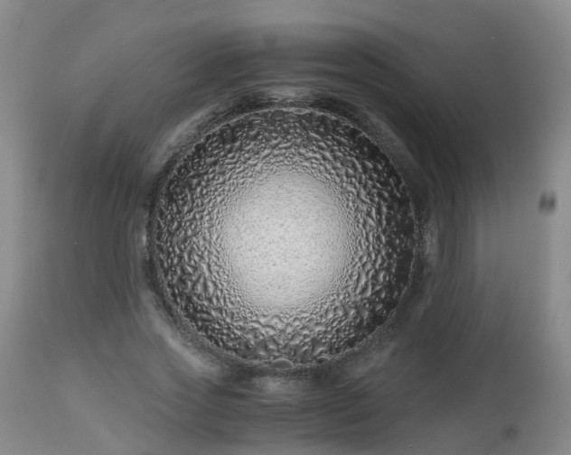 X0000112880733200908281637