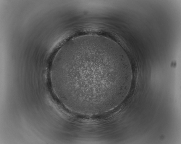 X0000112880735200908281637