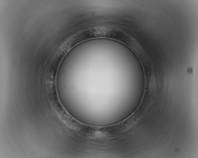 X0000112880737200908281637