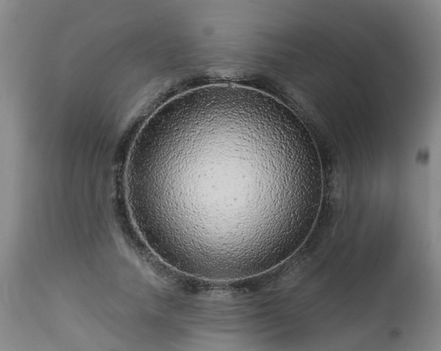 X0000112880738200908281637