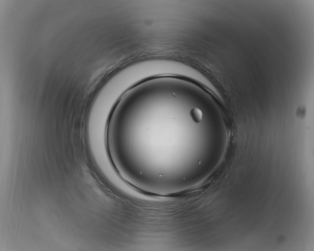 X0000112880740200908281637