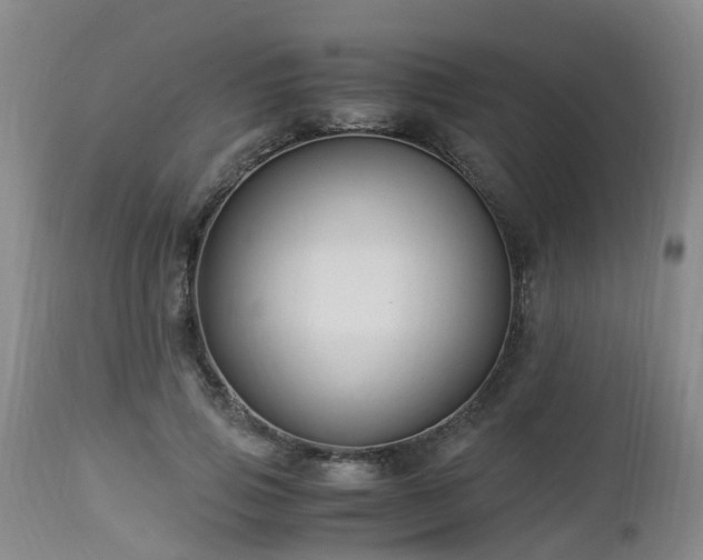 X0000112880741200908281637