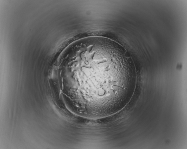 X0000112880742200908281637