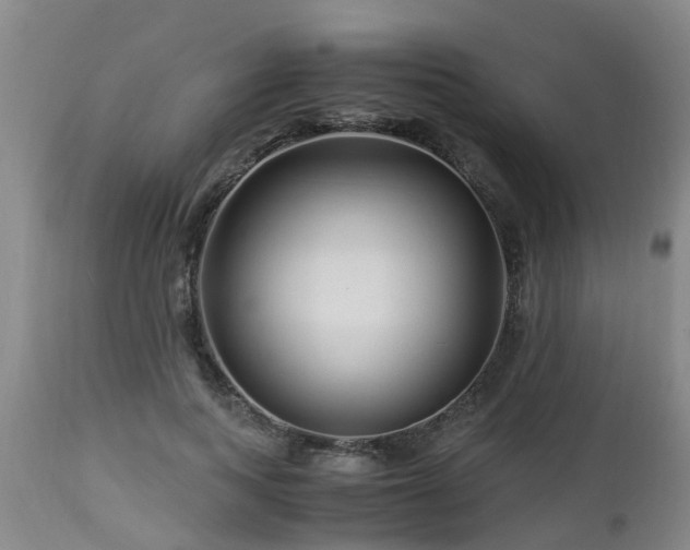 X0000112880743200908281637