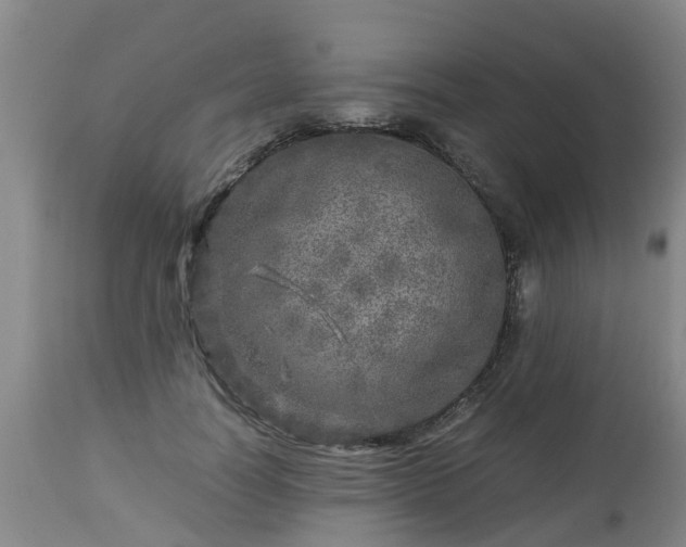 X0000112880746200908281637