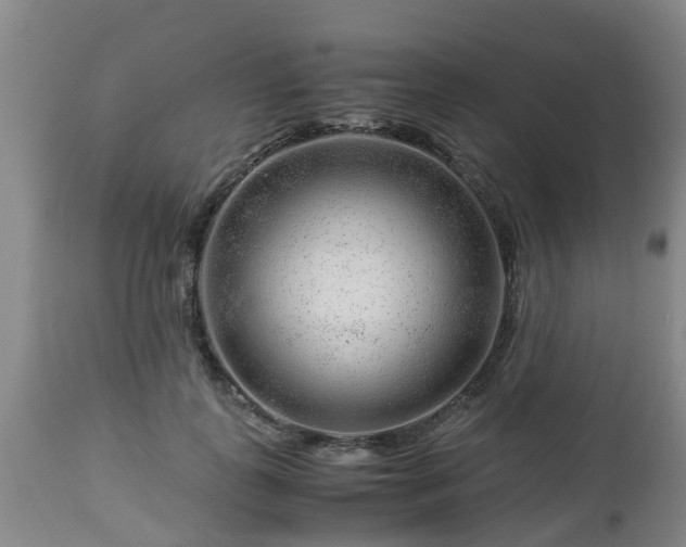 X0000112880747200908281637