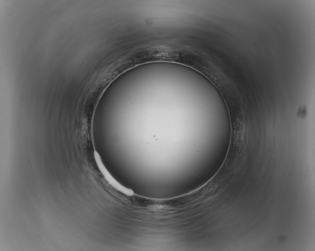 X0000112880748200908281637