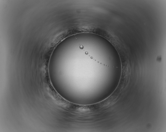 X0000112880749200908281637