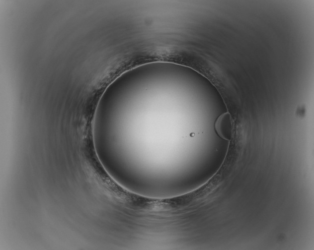 X0000112880750200908281637