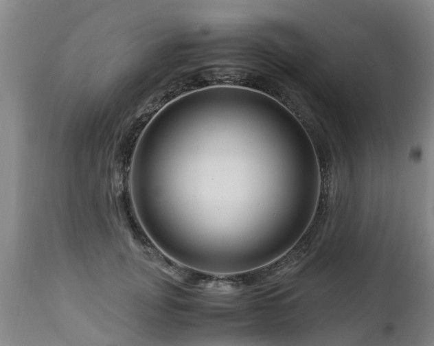 X0000112880751200908281637