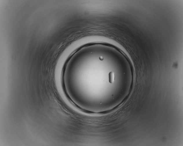 X0000112880752200908281637