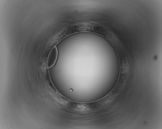 X0000112880753200908281637