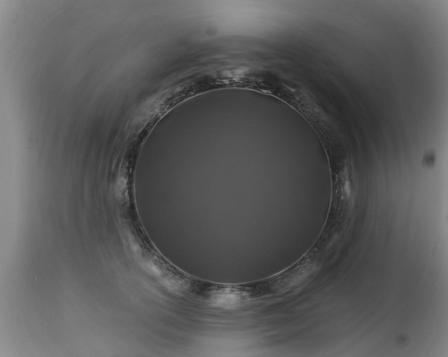 X0000112880754200908281637