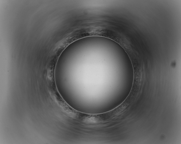 X0000112880755200908281637