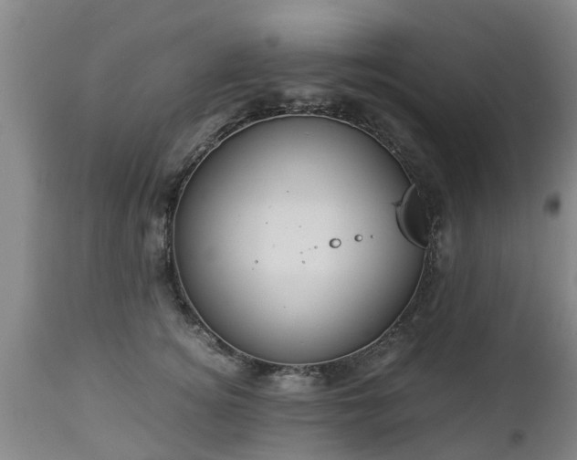 X0000112880756200908281637