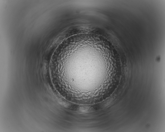 X0000112880757200908281637