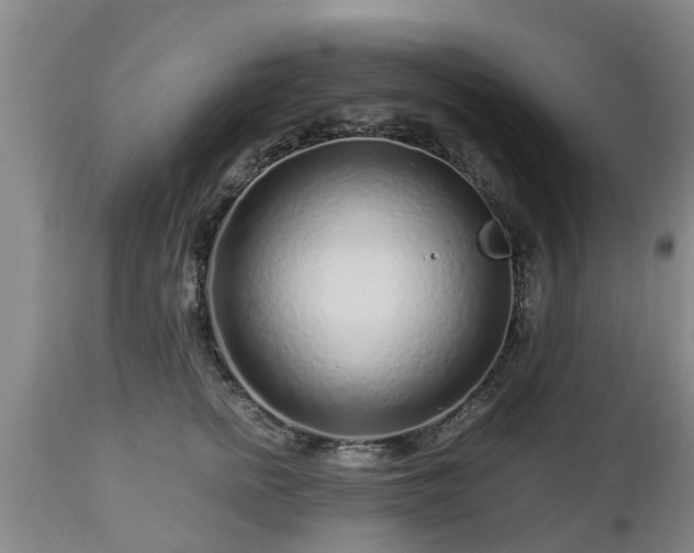 X0000112880758200908281637