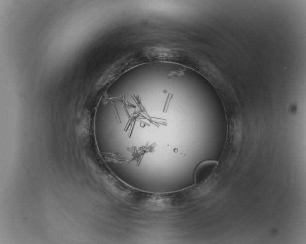 X0000112880760200908281637