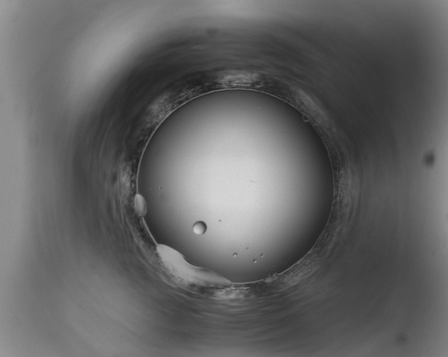 X0000112880761200908281637