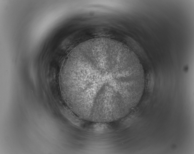 X0000112880762200908281637