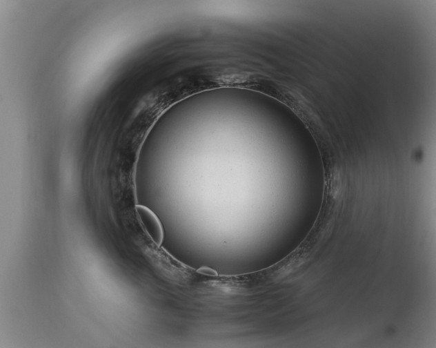 X0000112880763200908281637