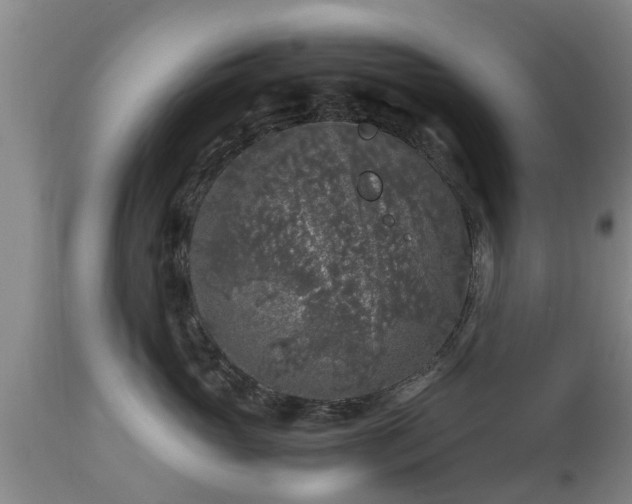 X0000112880765200908281637