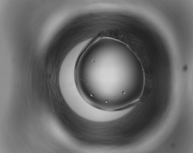 X0000112880766200908281637