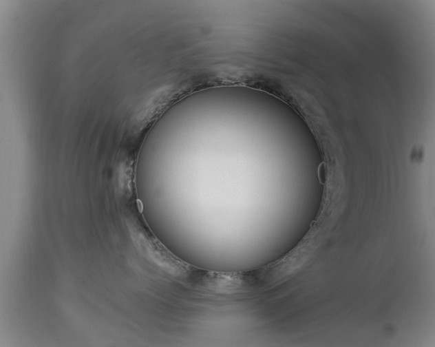 X0000112880768200908281637