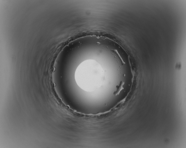 X0000112880769200908281636