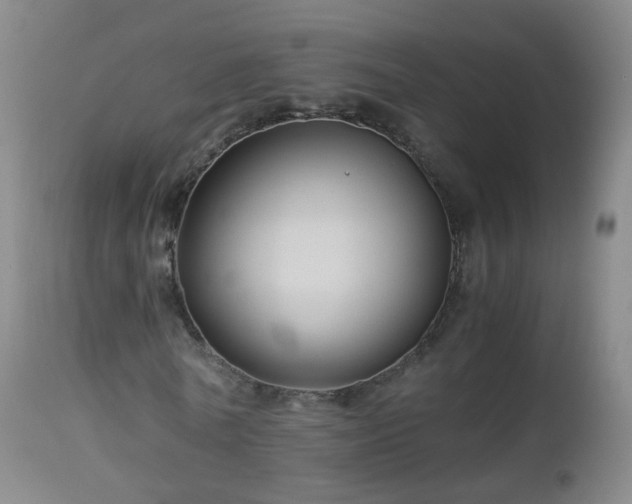 X0000112880770200908281636