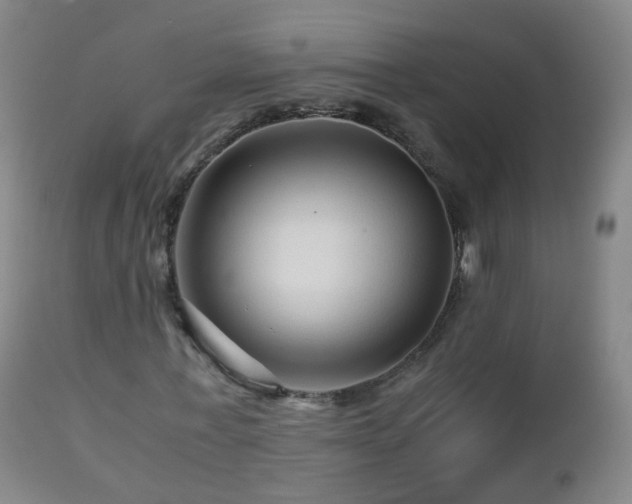 X0000112880771200908281636