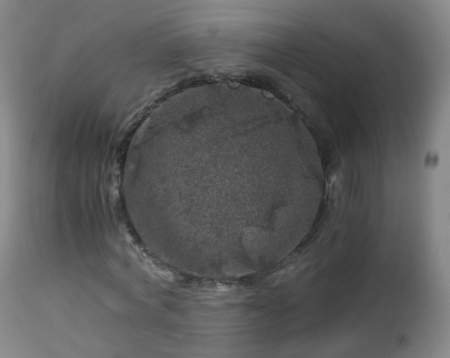 X0000112880772200908281636