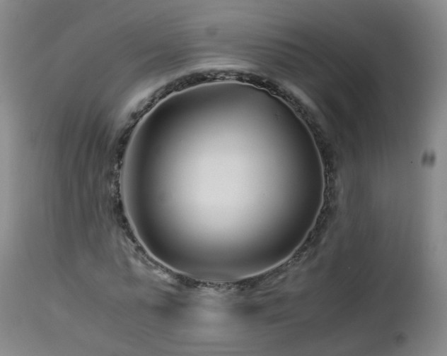 X0000112880775200908281636