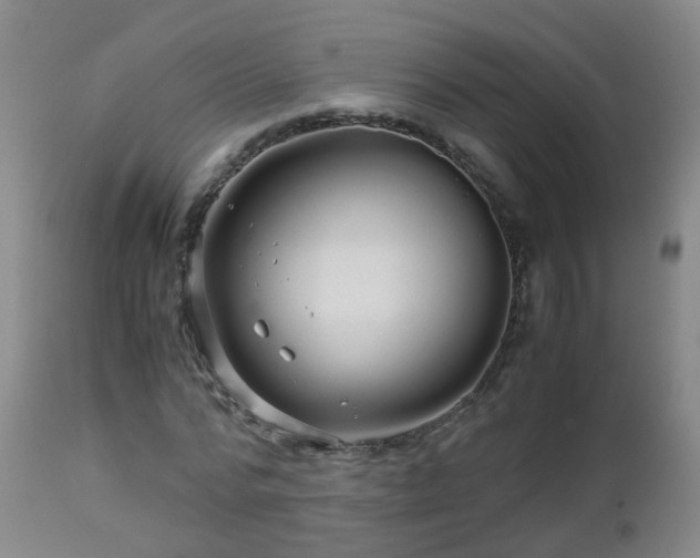 X0000112880776200908281636