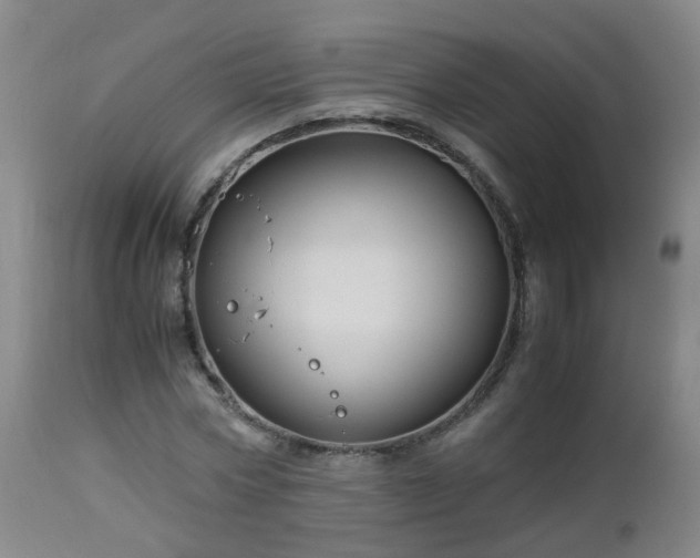 X0000112880778200908281636