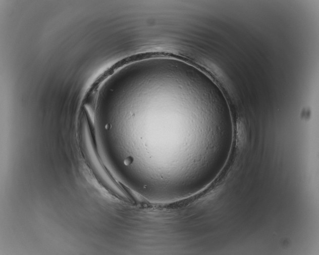 X0000112880780200908281636