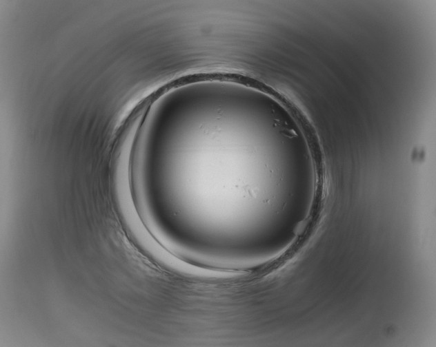 X0000112880781200908281636