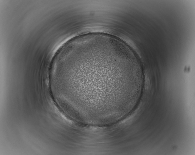 X0000112880782200908281636