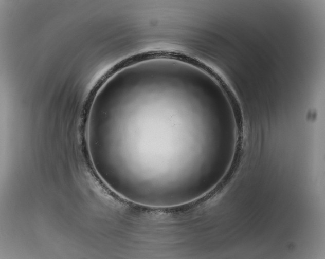 X0000112880783200908281636