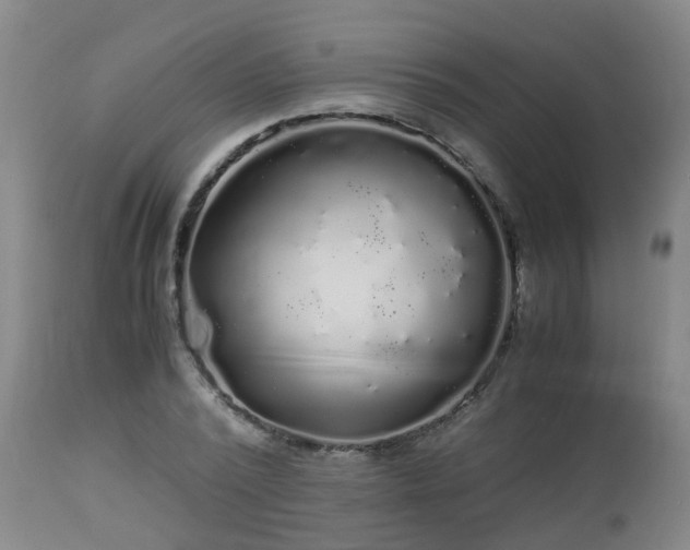 X0000112880784200908281636