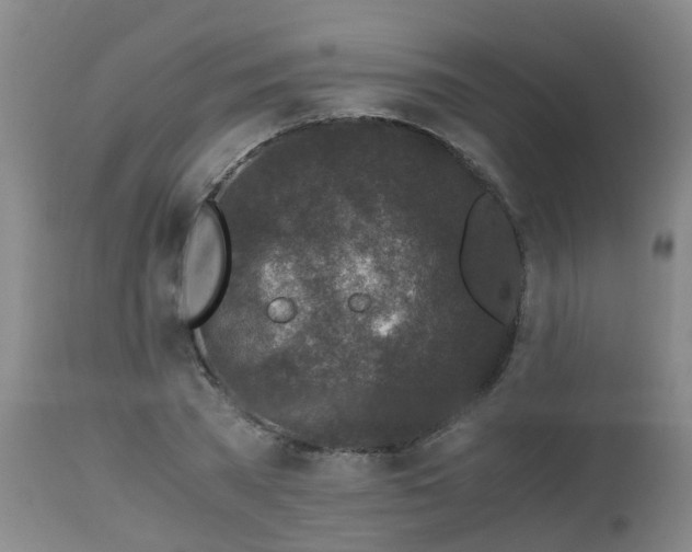 X0000112880785200908281636