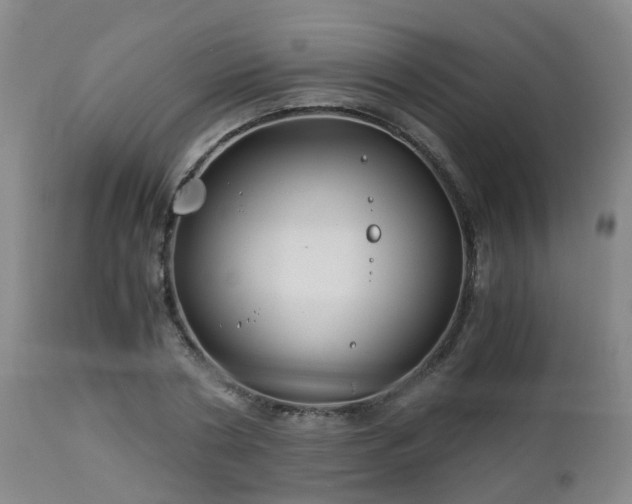 X0000112880786200908281636