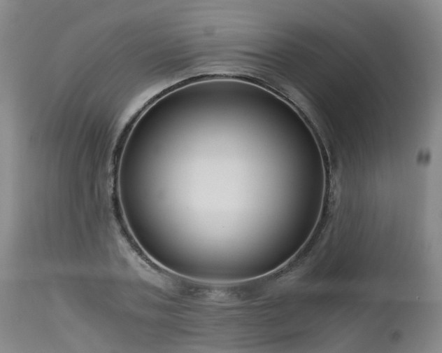 X0000112880787200908281636