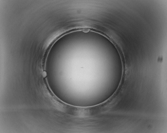 X0000112880789200908281636