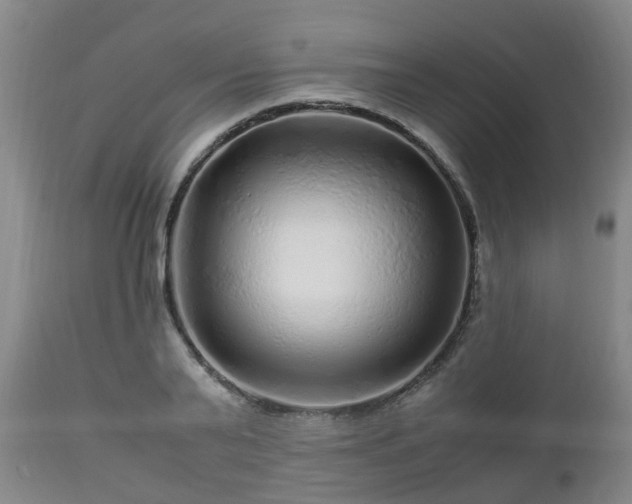 X0000112880791200908281636