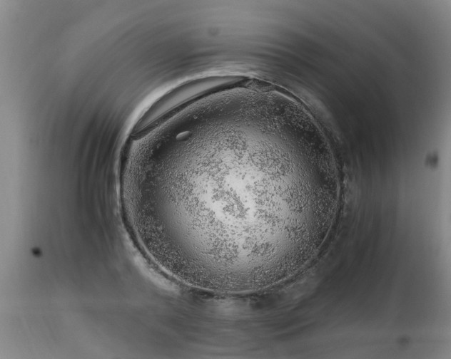 X0000112880792200908281636