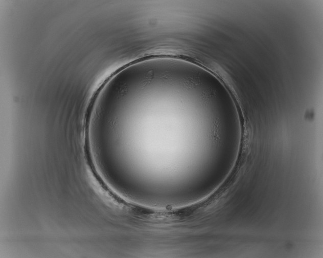 X0000112880795200908281636