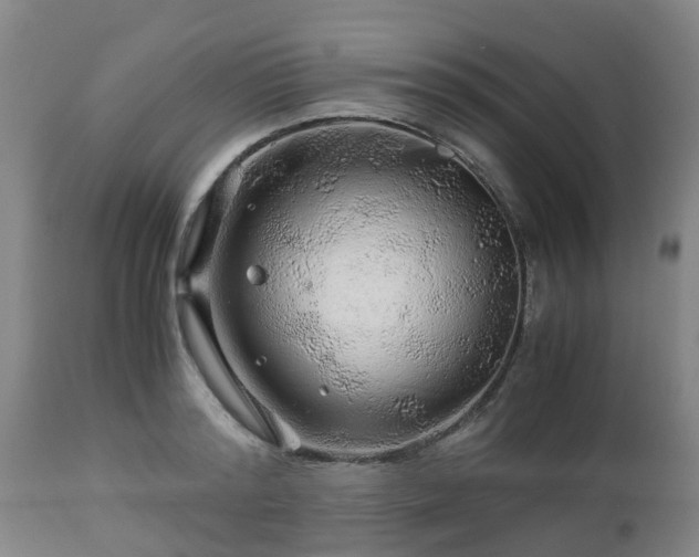 X0000112880796200908281636