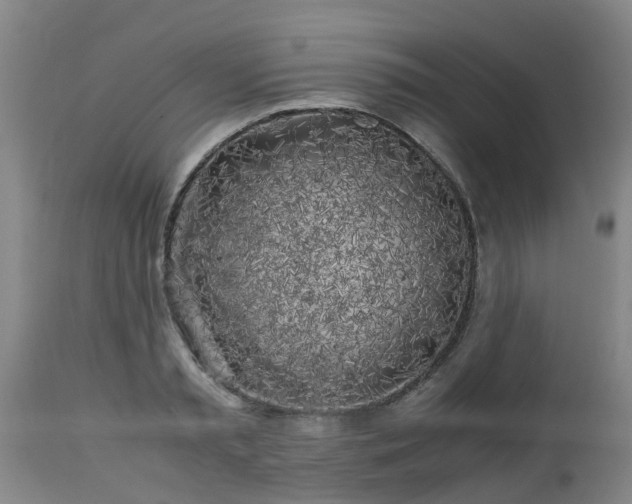 X0000112880797200908281636